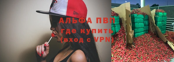 сатива Богородицк