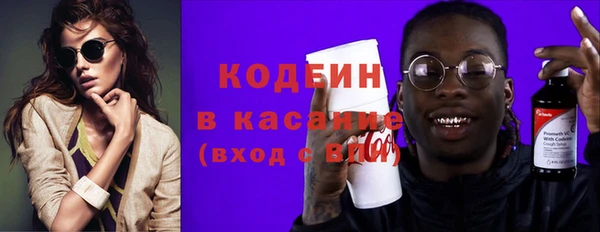 сатива Богородицк