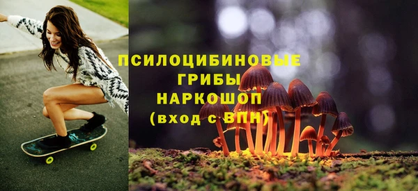 сатива Богородицк