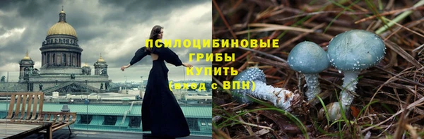амф Богородск