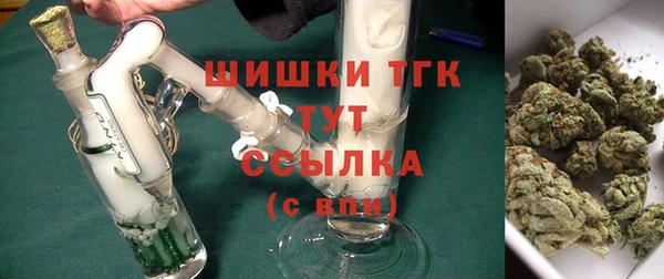 амф Богородск